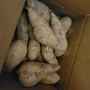 명량로 | 해남 단짝상회 꿀고구마, 아이들간식으로 최고! 쫀득한 고구마말랭이 후기