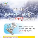 기동반-91 이미지