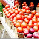 안전농장 이미지