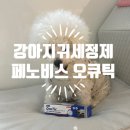 민들레동물병원 | 강아지귀세정제 올인원으로 눈까지 케어하는 페노비스 오큐틱 후기