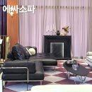 아르코펫 - 화성시 동탄순환대로 27 | 에싸 신상소파 보러 일산 직영점 방문, 추영우 블랙 가죽 소파 후기