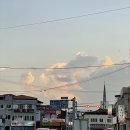 금호지 생태공원 이미지