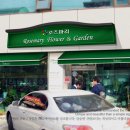 로즈마리플라워 이미지