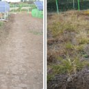 영구 태양광발전소 이미지