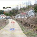 강림면303 이미지