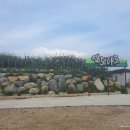 대관령엘도라도 이미지