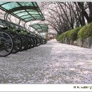 경화역 공원 1 이미지