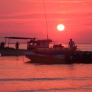 정근목장 이미지