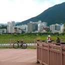 낙동강변7 이미지