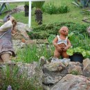 까멜리아 이미지