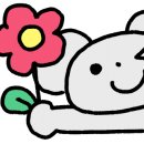 시화리라유치원 이미지