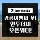 인투더씨 이미지