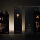 증류 이미지