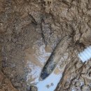 미룡주공2단지 이미지