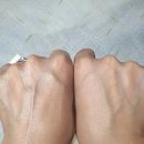 보티시아