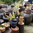 준 농장 이미지