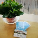 썬레이크빌제주휴양펜션 이미지