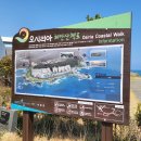 107기 카본 입니다. 이미지