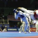 박사 K 태권도 이미지