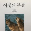 야성 이미지