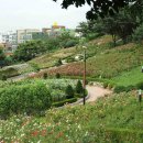 공원 이미지