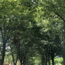 식어도 맛있는 아재커피 이미지