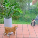 투썸플레이스 구미안가고택점 이미지