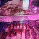 공항맛집 이미지