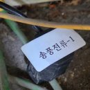 클린자동차공업사 이미지