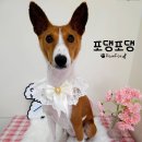 또치미용실 - 해남군 | 또치미용실