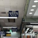 삼성종합카인테리어 | 신혼집 인테리어 | 아봄카도 부부의 첫 이불 구매 후기 :: 알레르망 헤네시B 선택한 이유
