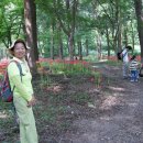 아름여행사 - 화성시 삼천병마로 1276 | 아름여행사