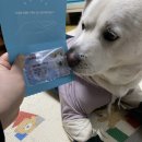 (주)펫콤 네이버블로그