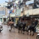 기타도로 이미지