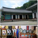 만수2구 | 8월 우리나라 특산종 백양꽃을 찾아 떠나는 전남 장성군 백암산 백양사로의 여행 [2]