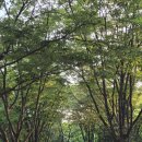 종합운동장 이미지