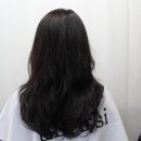 웨이브제이