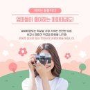 파파태권도장 이미지