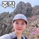 [Hiking] 전남 강진 덕룡산 주작산 등산 | 나홀로 남도의 땅끝기맥 따라 봉황의 핑크빛 날개를 걷다🌸 | 3박 4일 남도여행 | 이미지