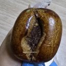 강릉대관령(강릉)휴게소 | ​강릉대관령휴게소 필수 간식! 안목커피빵 솔직 후기