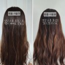 다나헤어 - 양산시 | 푸석한 머릿결 집에서 관리하는 법｜다나미 헤어 앰플 사용 후기