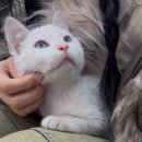 5박 6일 총 경비 86만원 상하이 여행 기록🇨🇳 (1편)