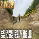 나무컨설팅 이미지