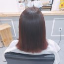 스텔라헤어 네이버블로그