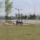 팔거천변 산책로5 이미지