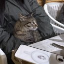 무지개뜨는마을(가동) | 키르기스스탄여행 토소르 이동 Lake Glamping 숙박 이식쿨 쌍무지개 본 썰 드냐 과일 후기