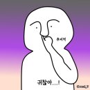 신논현역 SH성형외과/안검내반/내돈내산