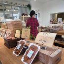 [서울/압구정] 장인한과X꼴라보하우스 압구정 팝업 후기 (4/17~4/27)