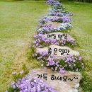 와우로15번길 이미지