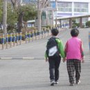 준선 이미지